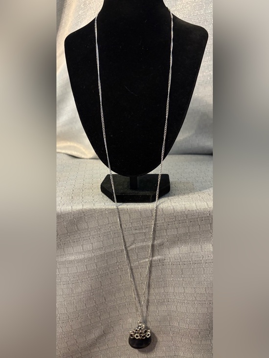 Jewelry - Silver-tone Long Chain  Pendant Necklace